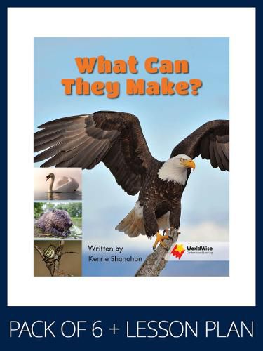 Cover image for WorldWise Guided Reading Pack Level 4, Pack 4: Student book (x6) and lesson plan (x1)