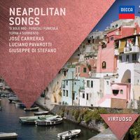 Cover image for Neapolitan Songs
