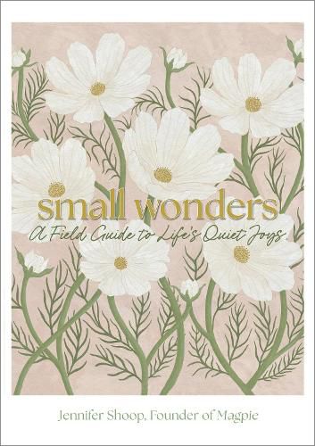 Cover image for Small Wonders