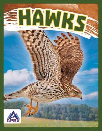 Cover image for Birds of Prey: Hawk