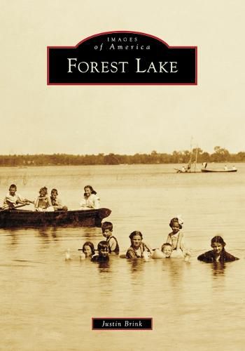 Cover image for Forest Lake