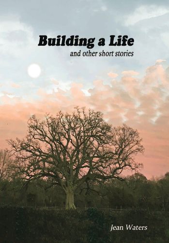 Cover image for Building a Life