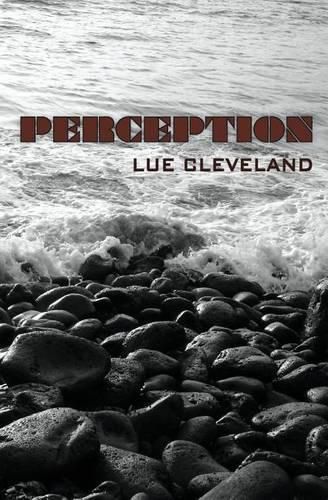 Cover image for Perception