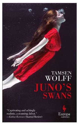 Cover image for Juno's Swans