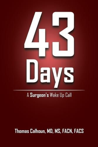 Cover image for 43 Days