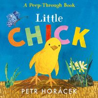 Cover image for Little Chick