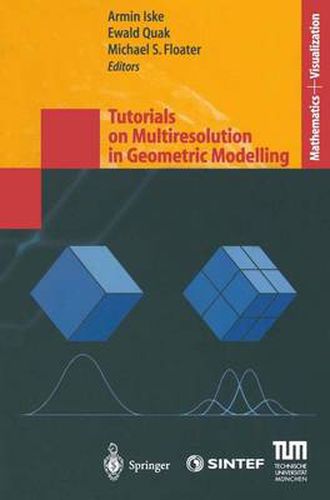 Cover image for Tutorials on Multiresolution in Geometric Modelling: Summer School Lecture Notes