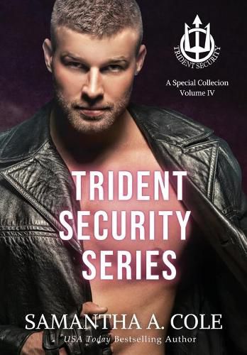 Cover image for Trident Security Series