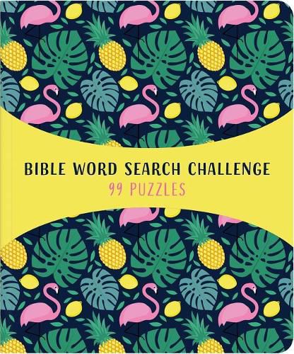 Cover image for Bible Word Search Challenge