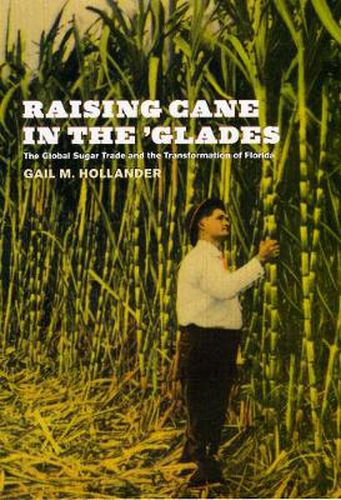 Cover image for Raising Cane in the 'Glades: The Global Sugar Trade and the Transformation of Florida