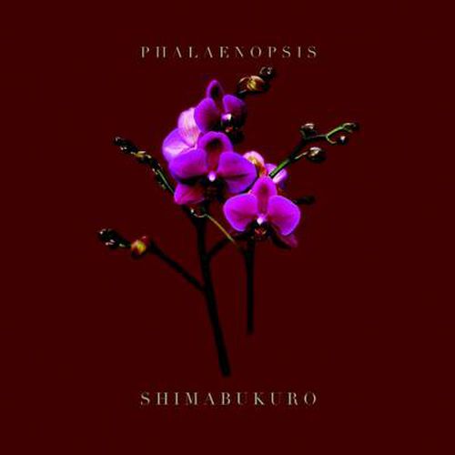 Cover image for Phalaenopsis_shimabukuro