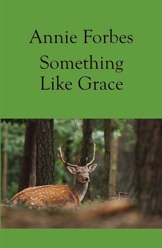Cover image for Something Like Grace