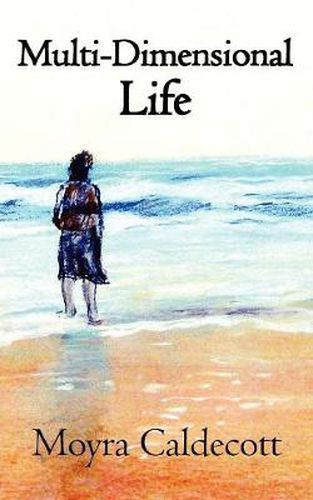 Cover image for Multi-Dimensional Life