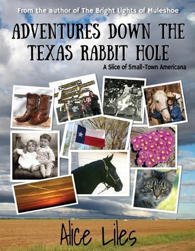 Cover image for Adventures Down the Texas Rabbit Hole