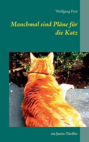 Cover image for Manchmal sind Plane fur die Katz: ein Justiz-Thriller