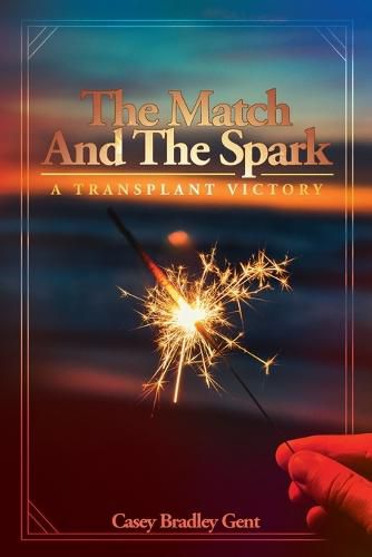 Cover image for The Match And The Spark