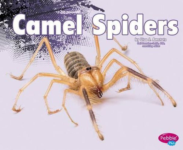 Cover image for Camel Spiders