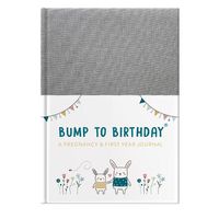 Cover image for Bump to Birthday