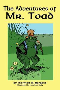 Cover image for The Adventures of Old Mr. Toad