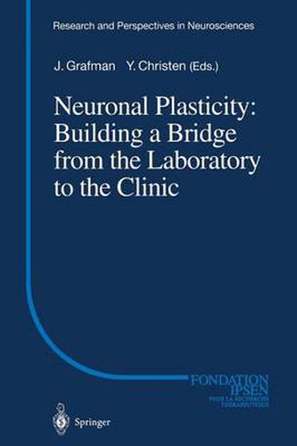 Cover image for Neuronal Plasticity: Building a Bridge from the Laboratory to the Clinic