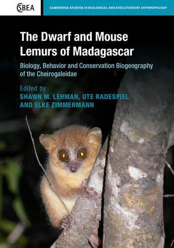 Cover image for The Dwarf and Mouse Lemurs of Madagascar: Biology, Behavior and Conservation Biogeography of the Cheirogaleidae