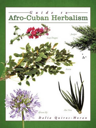 Cover image for Guide to Afro-Cuban Herbalism