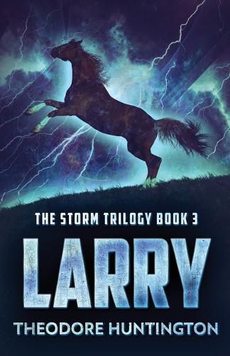 Cover image for Larry