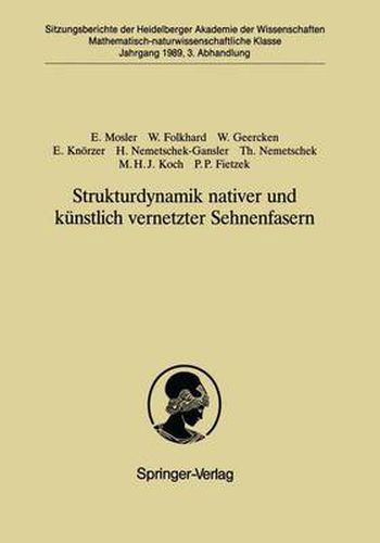 Strukturdynamik Nativer und Kunstlich Vernetzter Sehnenfasern