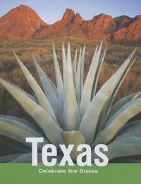 Cover image for Texas