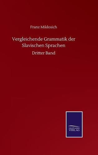 Cover image for Vergleichende Grammatik der Slavischen Sprachen: Dritter Band