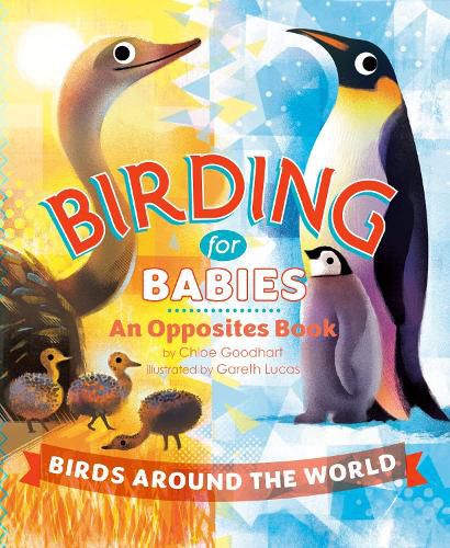 Cover image for Birding for Babies: Birds Around the World