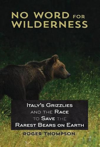 Cover image for No Word for Wilderness: Italy's Grizzlies and the Race to Save the Rarest Bears on Earth