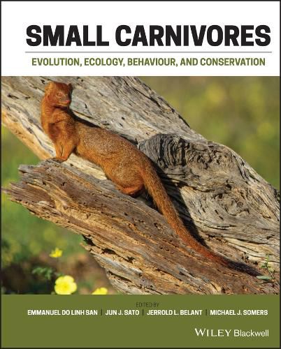 Cover image for Small Carnivores - Evolution, Ecology, Behaviour and Conservation