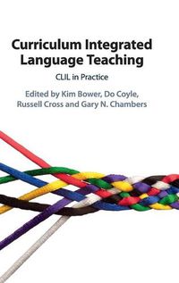 Cover image for Curriculum Integrated Language Teaching: CLIL in Practice