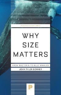 Cover image for Why Size Matters