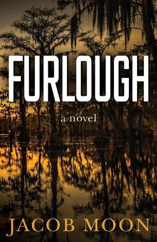 Cover image for Furlough