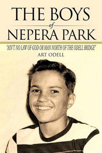 Cover image for The Boys of Nepera Park