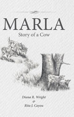 Cover image for Marla