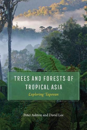 Trees and Forests of Tropical Asia: Exploring Tapovan