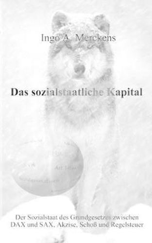 Cover image for Das sozialstaatliche Kapital