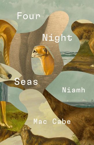 Cover image for Four Night Seas