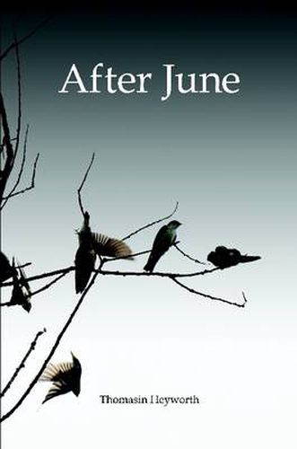 Cover image for After June