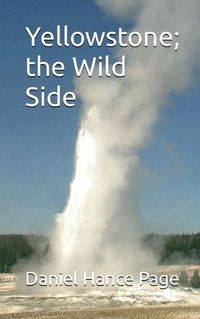 Cover image for Yellowstone; the Wild Side