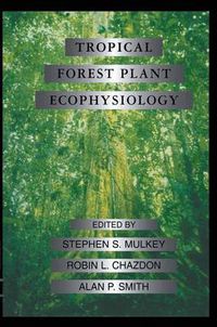 Cover image for Tropical Forest Plant Ecophysiology