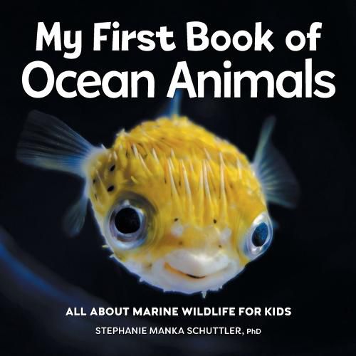 Cover image for My First Book of Ocean Animals: All about Marine Wildlife for Kids