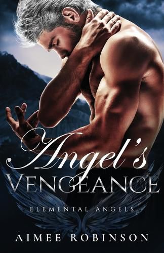 Cover image for Angel's Vengeance