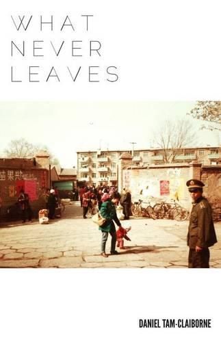 Cover image for What Never Leaves