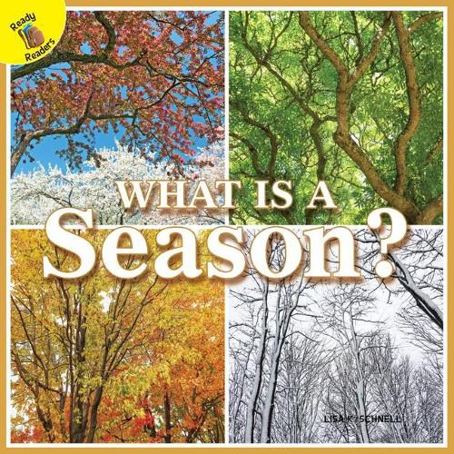 Cover image for What Is a Season?