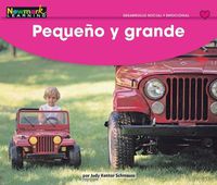 Cover image for Pequeo Y Grande Leveled Text