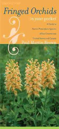 Fringed Orchids in Your Pocket: A Guide to Native Platanthera Species of the Continental United States and Canada